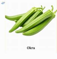 Okra