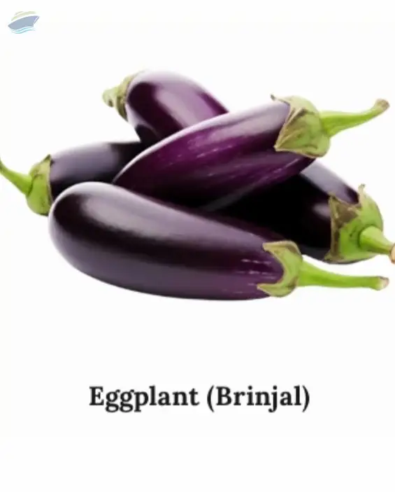Eggplant (Brinjal)