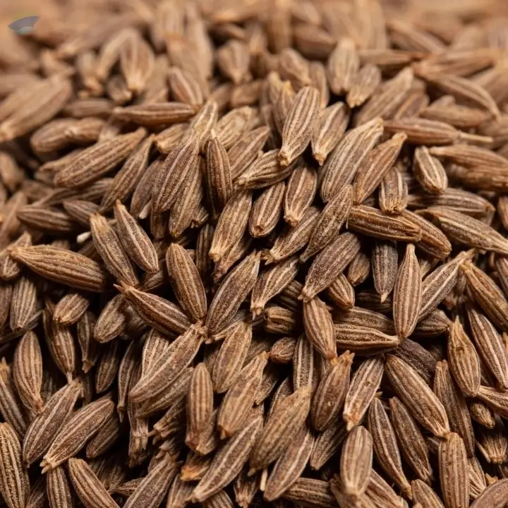 Premium Indian Cumin Seeds (Jeera)