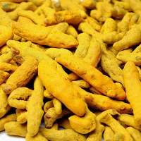 Premium Indian Turmeric Finger