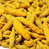 Premium Indian Turmeric Finger