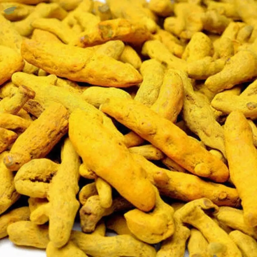 Premium Indian Turmeric Finger