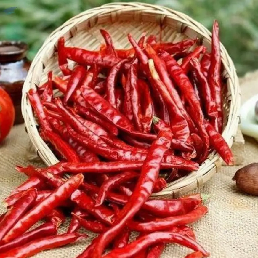 Premium Dry Red Chili