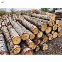 Lumber & Logs