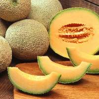 Muskmelon