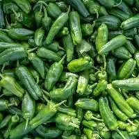 Jalapeno