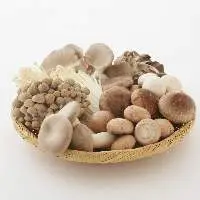 Mushroom
