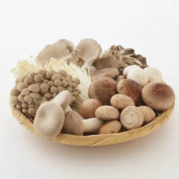 Mushroom