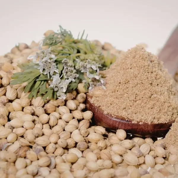 Coriander (Whole & Powder)