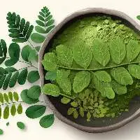 Moringa powder