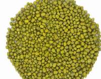 Moong Dal