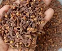 cloves