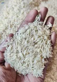 1121 Basmati Rice