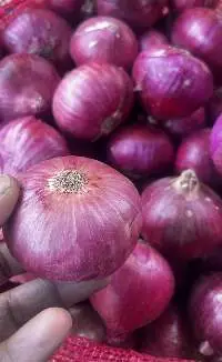 Fresh Red Onion