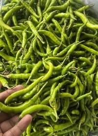 Fresh Green Chilli