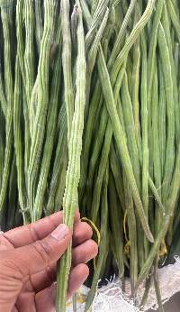 Fresh Drumstick (Moringa Pods)