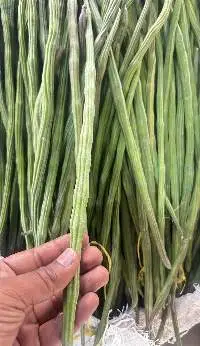 Fresh Drumstick (Moringa Pods)