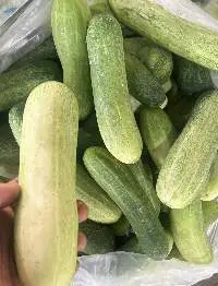 Fresh Cucumber