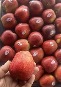 Fresh Apple
