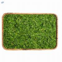 Dehydrated Celery