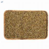 Cumin Seeds