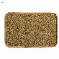 Cumin Seeds
