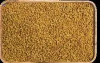 Fenugreek Seeds
