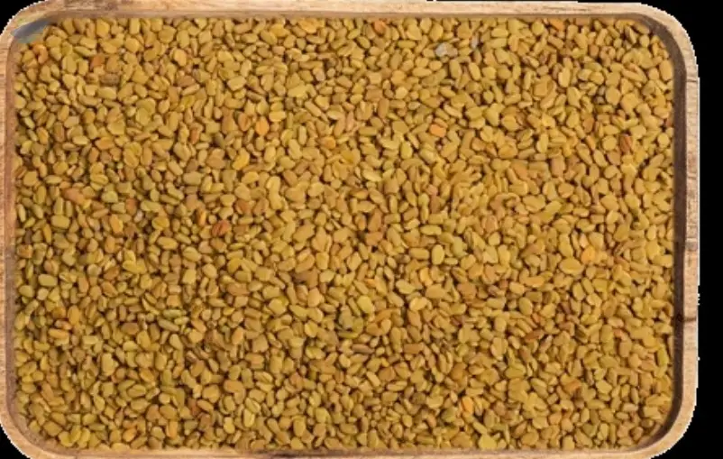 Fenugreek Seeds