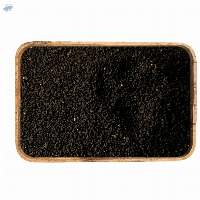Nigella Seeds
