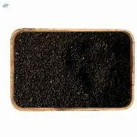 Nigella Seeds