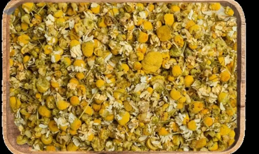 Chamomile Flower