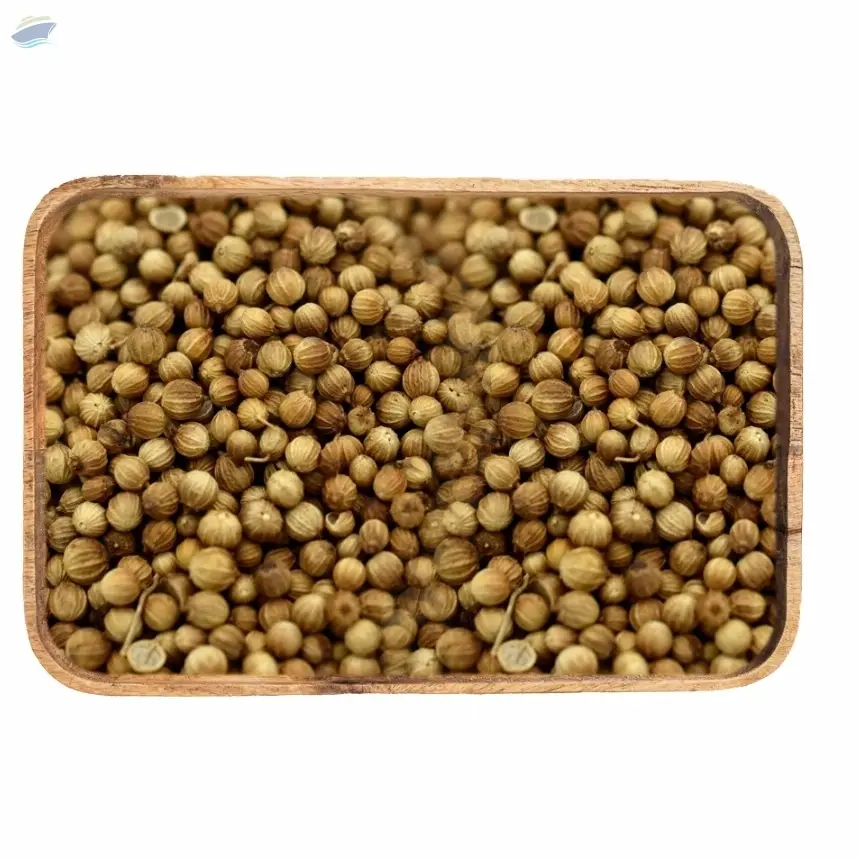 Coriander Seeds