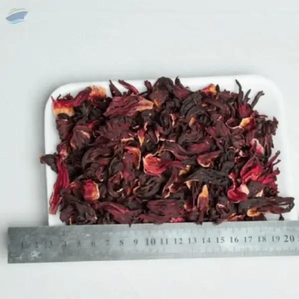 Hibiscus