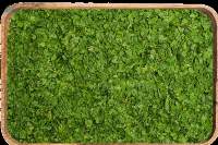 Parsley MD