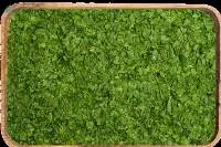 Parsley MD
