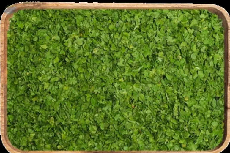Parsley MD