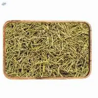 Rosemary