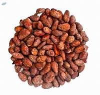 Cocoa Beans