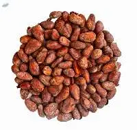 Cocoa Beans