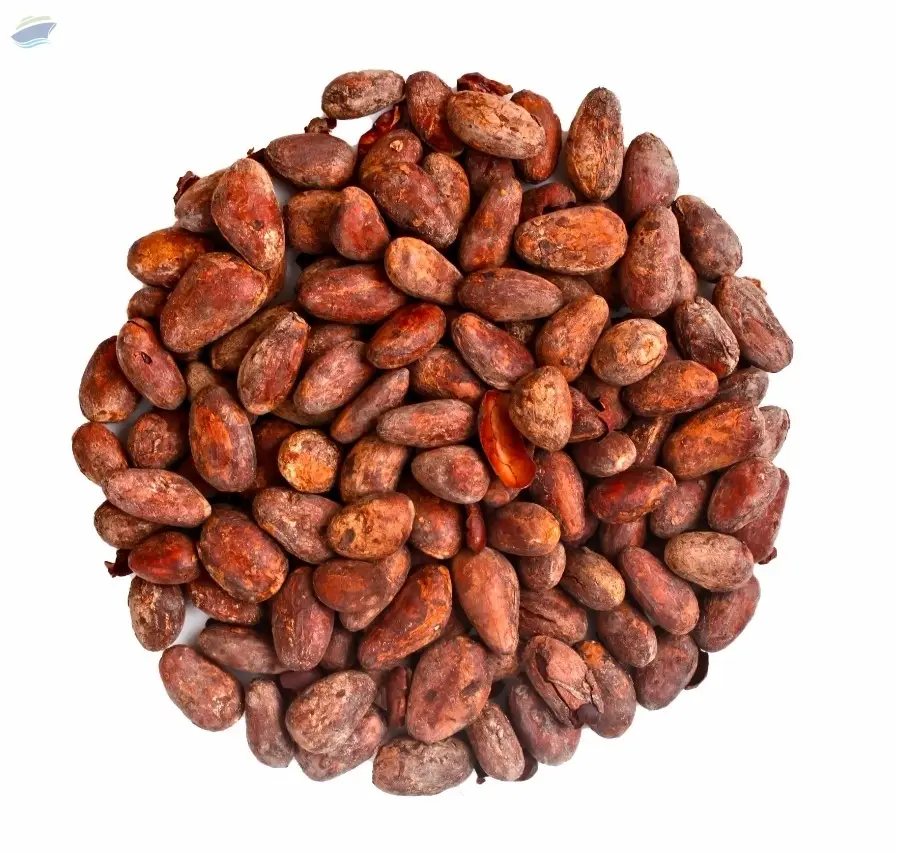 Cocoa Beans