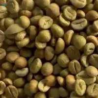 Arabica, Robusta Coffee Beans