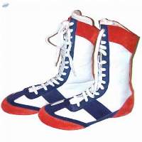 Boxing Shoes