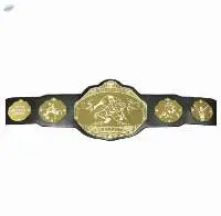 Champion belt