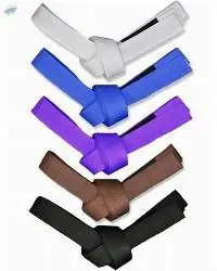 Jiu-Jitsu Belt