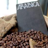Arabica Coffee