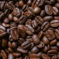 Robusta Coffee