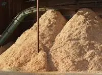 Sawdust