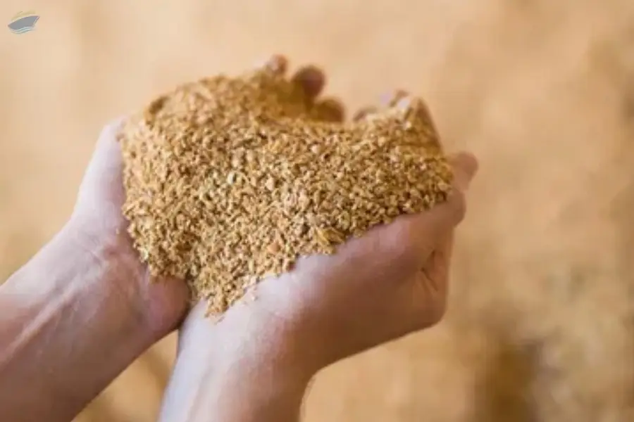 Soybean Husk