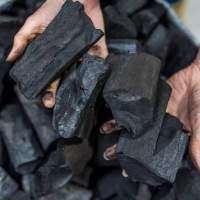 Premium Hardwood Charcoal Bulk Supply