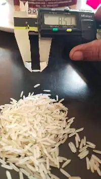 Rice